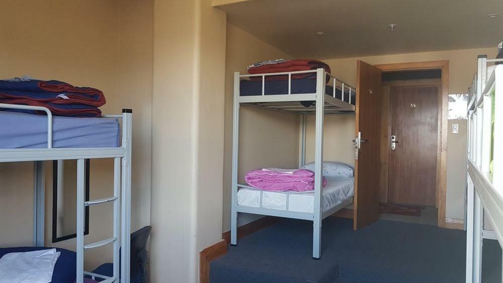Wild Zebra Backpackers Hostel Wellington Exterior photo